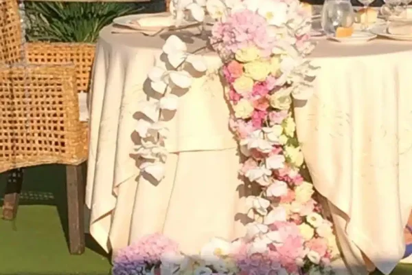 10460413_10202305980003065_7155967429124853361_n