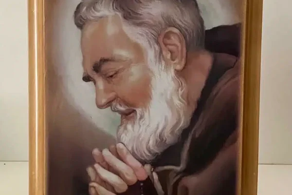 whatsapp image 2022-05-17 at 13.03.52 (1)