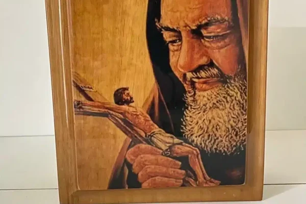 whatsapp image 2022-05-17 at 13.03.52 (2)