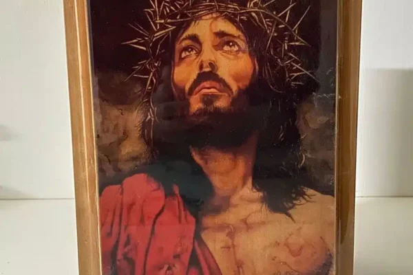 whatsapp image 2022-05-17 at 13.03.52 (4)