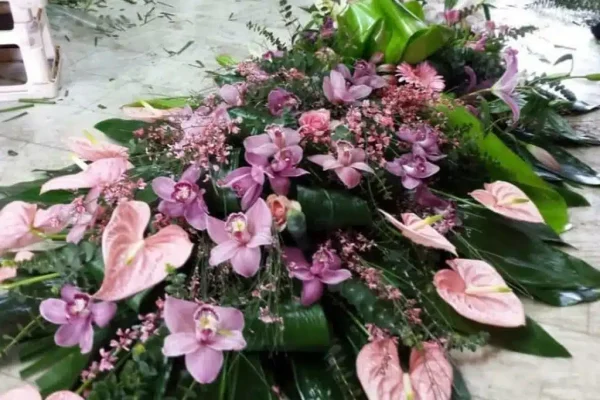 whatsapp image 2022-05-17 at 13.03.53 (1)