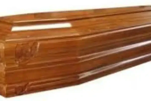 whatsapp image 2022-05-17 at 13.03.53 (2)